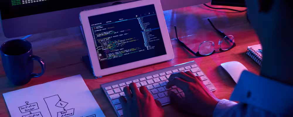 Web developer working at Serene office in Delhi